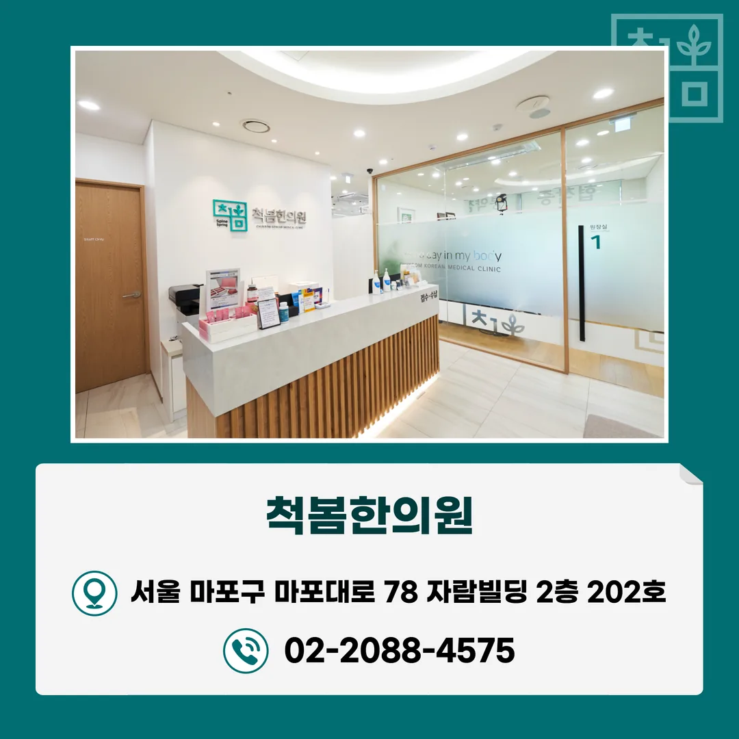 허리디스크 경과를 두 줄로 기록한 통원 관리 노트