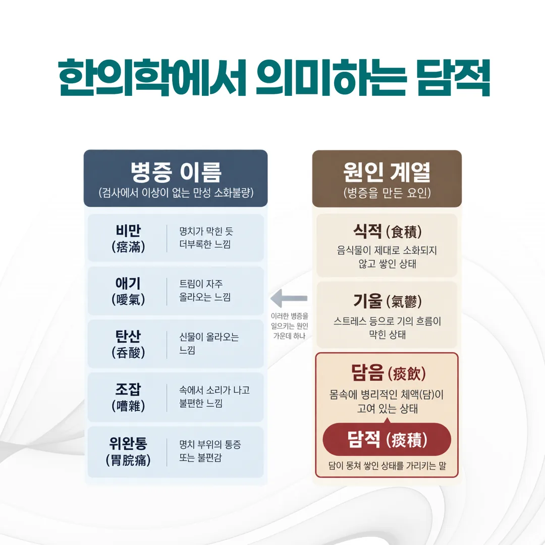 담적이 한의학 분류에서 병증이 아니라 원인 계열에 놓이는 구조 개념도