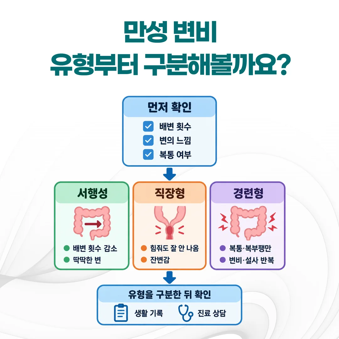 만성 변비의 서행성·직장형·경련형 유형 구분과 확인 순서를 정리한 개념도
