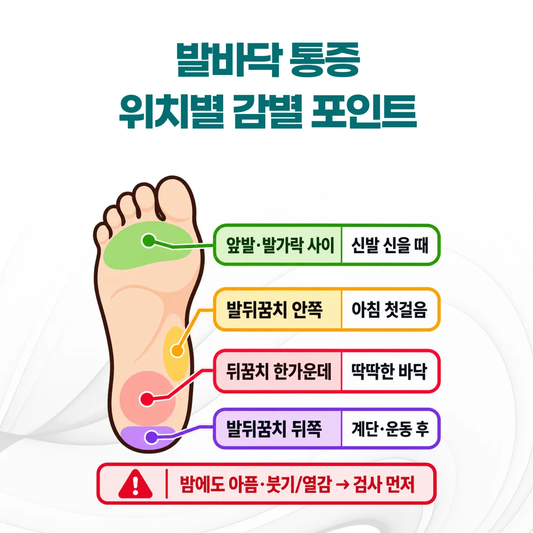 발바닥 통증의 위치와 시간대에 따라 의심 질환이 갈리는 감별 도표