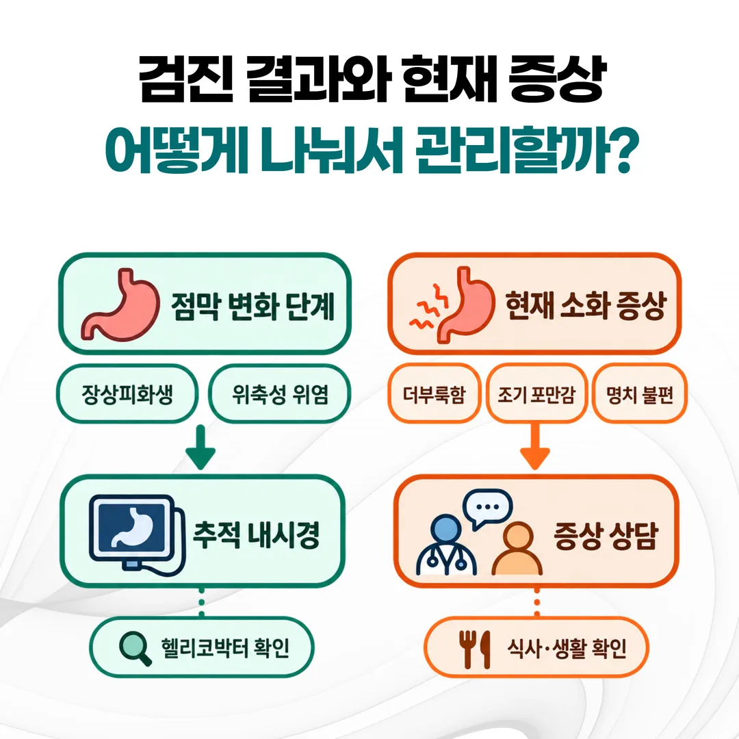 점막 변화 단계는 추적검사로, 남아 있는 소화 증상은 증상 상담으로 나누어 관리하는 경로를 표시한 도식