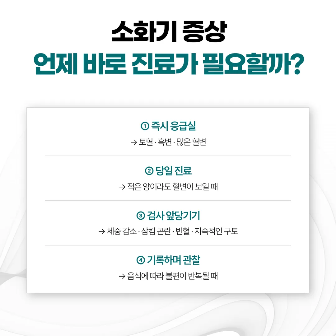 소화기 증상을 즉시 응급실·그날 안에 진료·검사 일정 앞당기기·기록하며 관찰 단계로 나누어 정리한 안내 도식